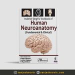 نوروآناتومی سینگ زبان اصلی Human Neuroanatomy