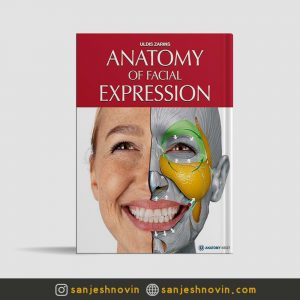 آناتومی حالات صورت Anatomy of Facial Expressions