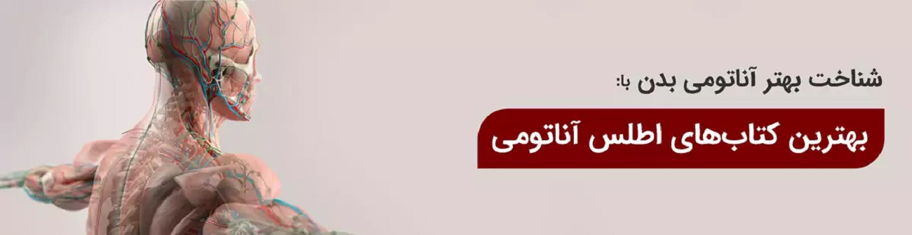 سنجش نوین